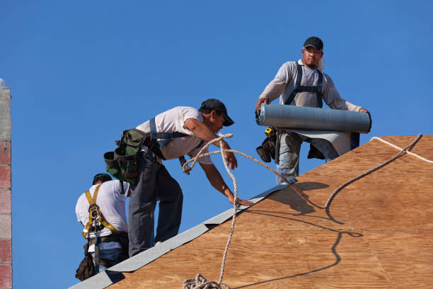 Roof Gutter Cleaning in Mantua, VA